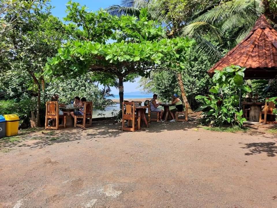 Casa El Tortugo Bed & Breakfast Drake Bay Exterior photo