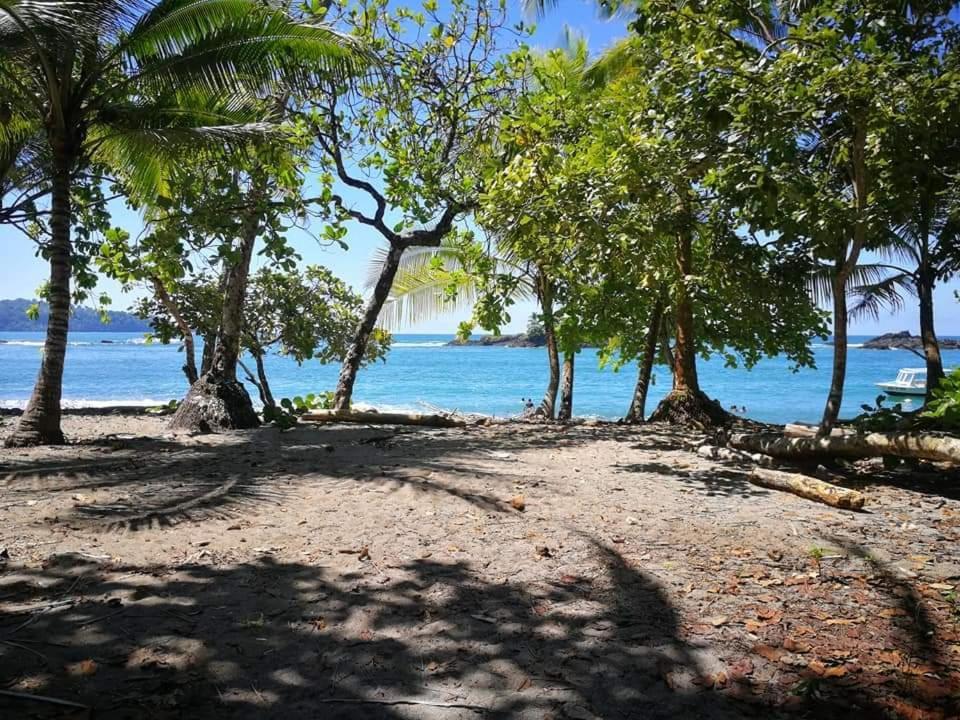 Casa El Tortugo Bed & Breakfast Drake Bay Exterior photo