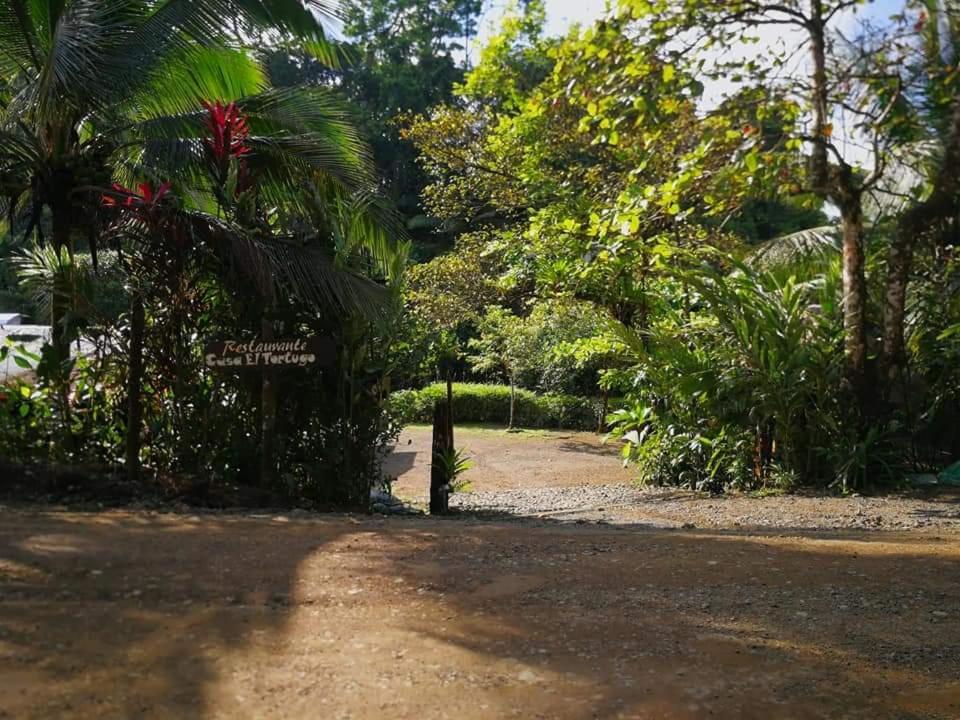 Casa El Tortugo Bed & Breakfast Drake Bay Exterior photo